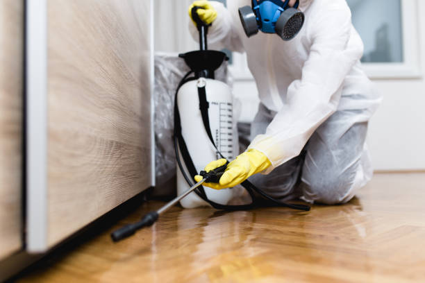 Best Affordable Pest Control Services  in Battlement Mesa, CO