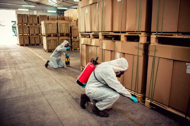 Best Termite Control Services  in Battlement Mesa, CO