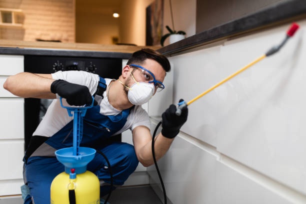 Best Pest Control for Homes  in Battlement Mesa, CO