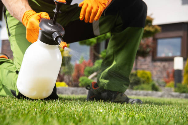 Best Affordable Pest Control Services  in Battlement Mesa, CO