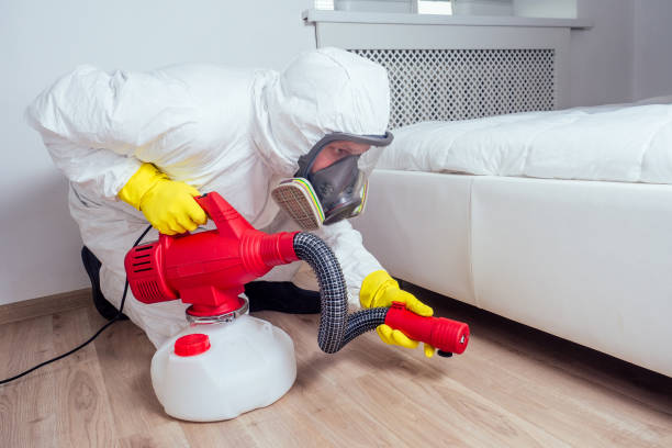 Best Pest Removal Services  in Battlement Mesa, CO