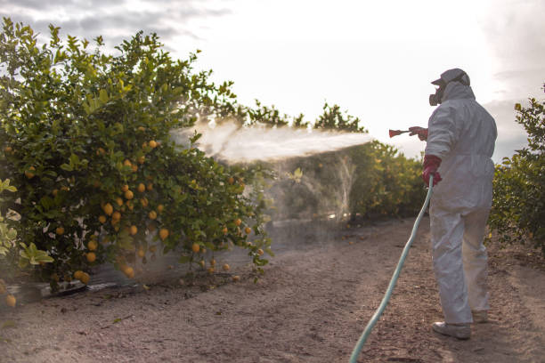 Best Best Pest Control Companies  in Battlement Mesa, CO