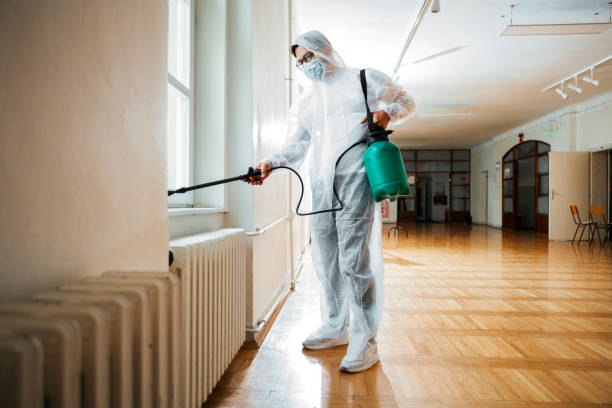 Professional Pest Control in Battlement Mesa, CO
